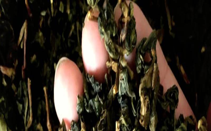 毛蟹茶的制作工艺，毛蟹茶的制作工艺流程