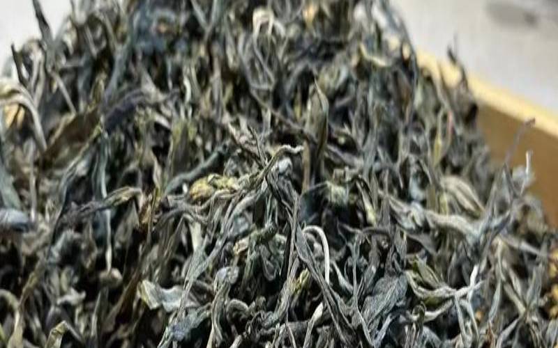 普洱纯古树料汤色会浑浊吗，普洱古树纯料什么意思