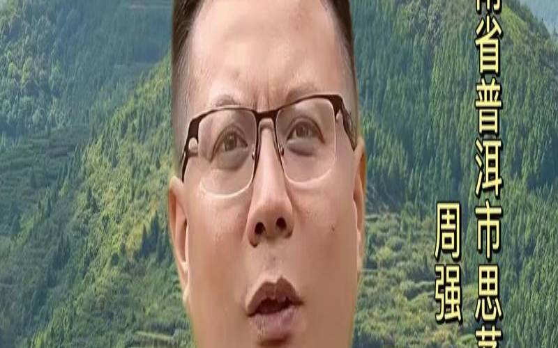 一脉传承普洱茶,普洱茶传承人