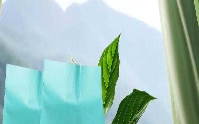 日照绿茶的特点和功效,日照绿茶怎么冲泡 日照绿茶的特点和功效,日照绿茶怎么冲泡