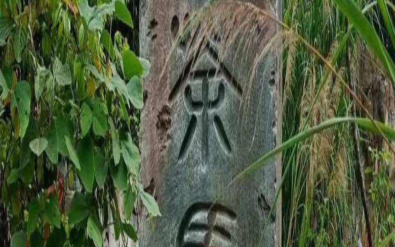 关于茶马古道的对联,普洱茶马古道的简介和特点