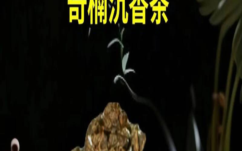 沉香普洱熟茶的功效与作用,沉香茶哪些人不能喝