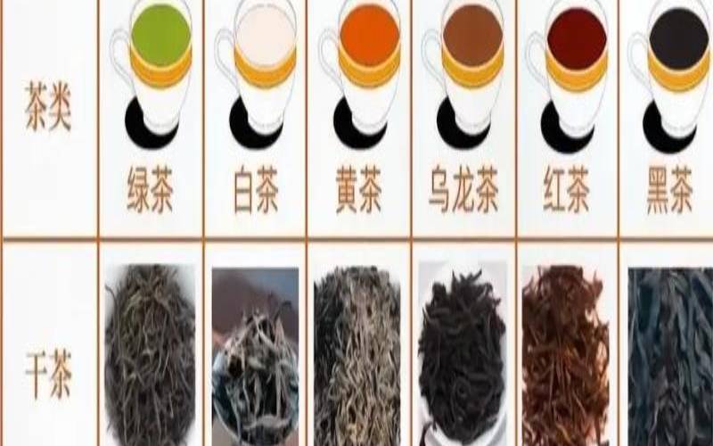中国茶叶的基础知识,茶叶知识入门100问