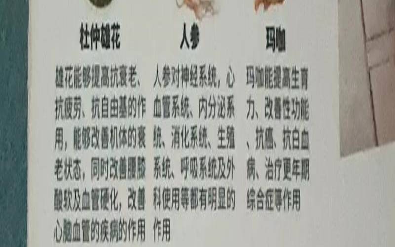 茶真的养生吗，茶的养生价值