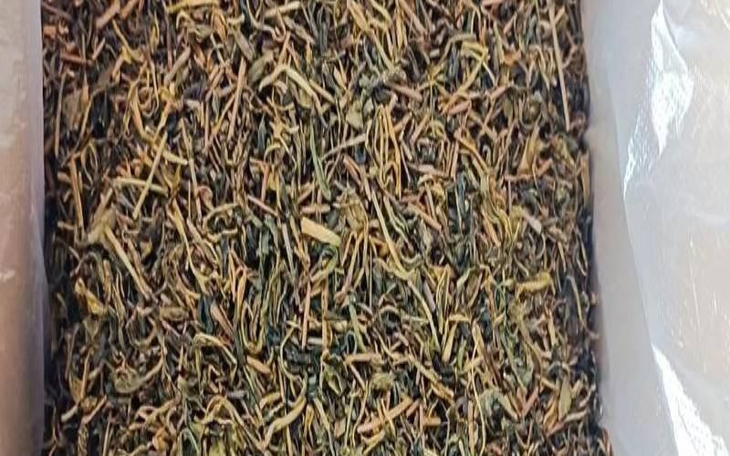 黄大茶神州茶网,黄大茶是什么茶 黄大茶神州茶网,黄大茶是什么茶