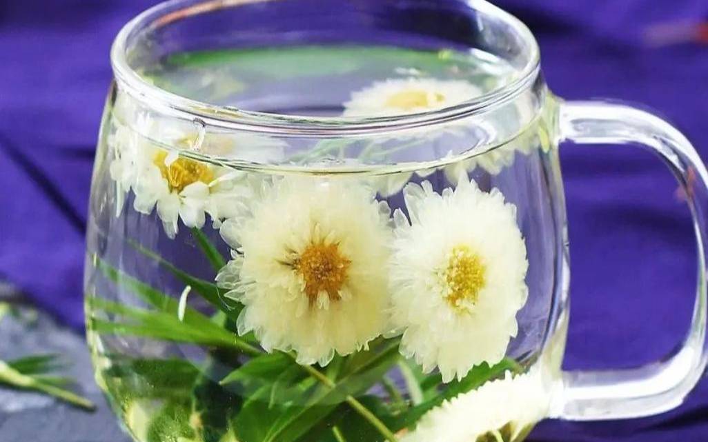 菊花配什么能养肝去火,菊花配什么去火最快 菊花配什么能养肝去火,菊花配什么去火最快