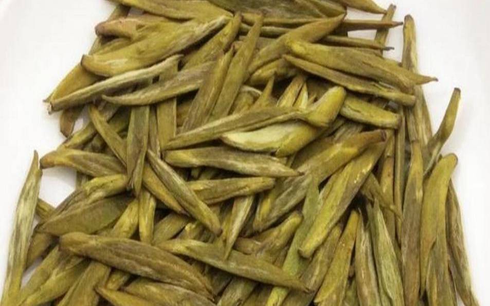 蒙顶黄芽的特点和功效,什么发育成顶芽 蒙顶黄芽的特点和功效,什么发育成顶芽