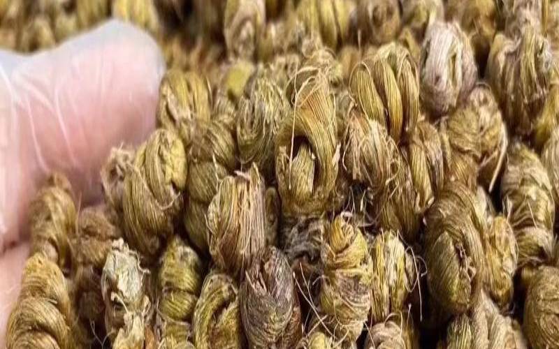 铁皮石斛的美容功效与作用,铁皮石斛的十大功效是什么 铁皮石斛的美容功效与作用,铁皮石斛的十大功效是什么