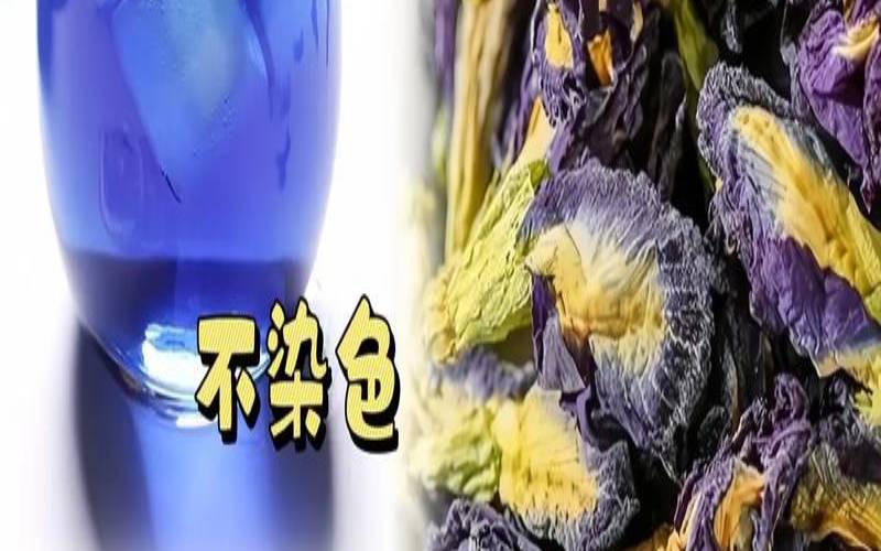 蝶豆花加醋会变色吗,蝶豆花能直接泡水喝吗 蝶豆花加醋会变色吗,蝶豆花能直接泡水喝吗