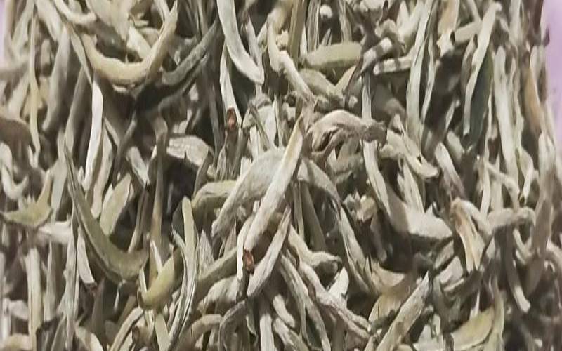 云南普洱属于红茶还是绿茶,普洱茶属于红茶系列吗