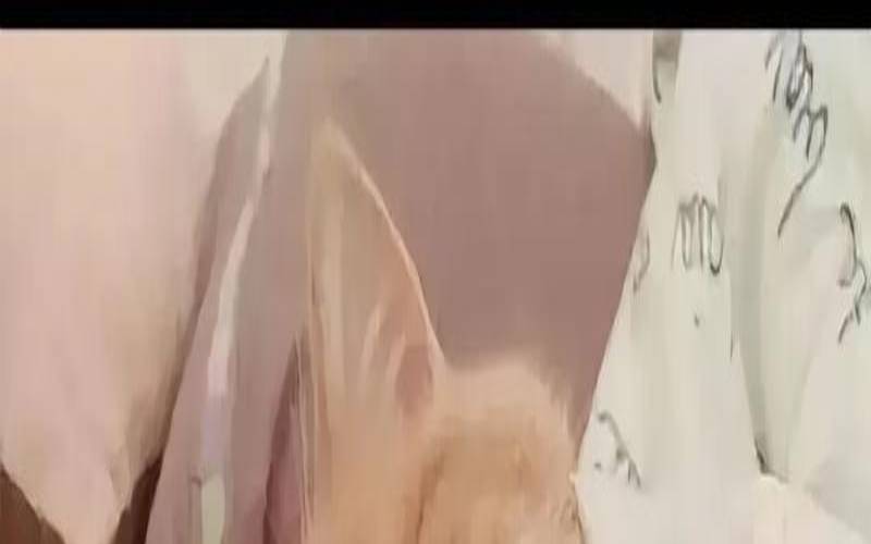 什么体质一喝茶就失眠,喝茶后失眠自救方法