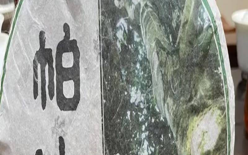 帕沙普洱茶是哪个茶区的,云南十大茶叶品牌