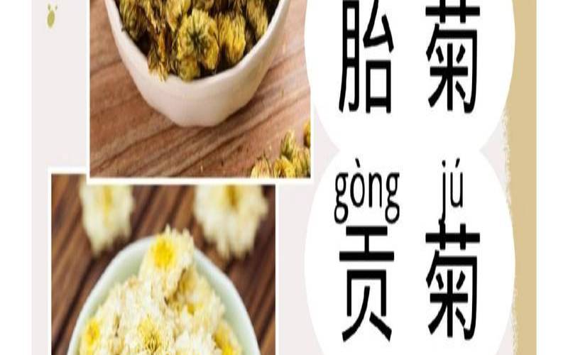 杭白杭白菊的功效与作用,杭白菊与菊花的功效区别 杭白杭白菊的功效与作用,杭白菊与菊花的功效区别