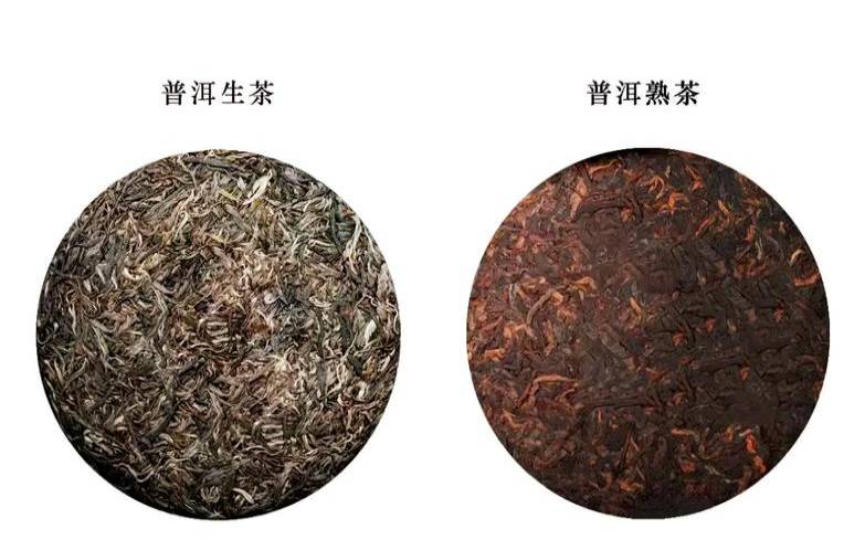 熟普洱茶是寒性还是热性的,为什么普洱生茶寒性大 熟普洱茶是寒性还是热性的,为什么普洱生茶寒性大