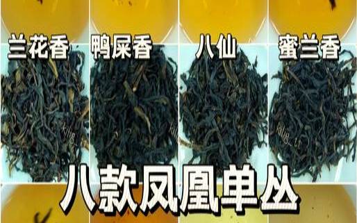 茶叶品评标准,品鉴茶是不是都比较好 茶叶品评标准,品鉴茶是不是都比较好