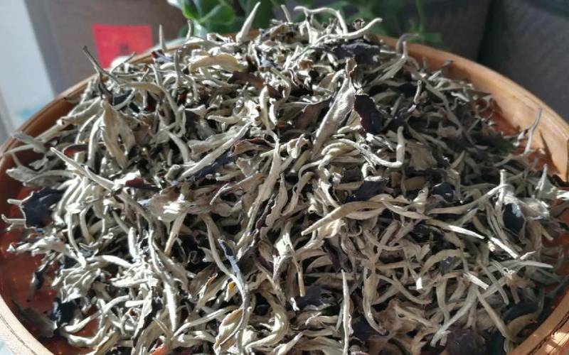 白茶叶片有黑的正常吗,白茶是什么叶子做的 白茶叶片有黑的正常吗,白茶是什么叶子做的
