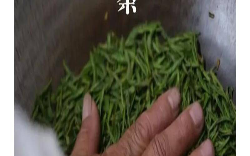 西湖龙井茶制作工艺详解,非遗技艺传承师 西湖龙井茶制作工艺详解,非遗技艺传承师