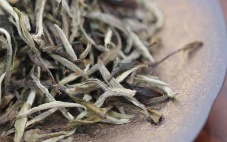 马冠尖福鼎白茶年份老白茶,喝福鼎白茶有什么好处