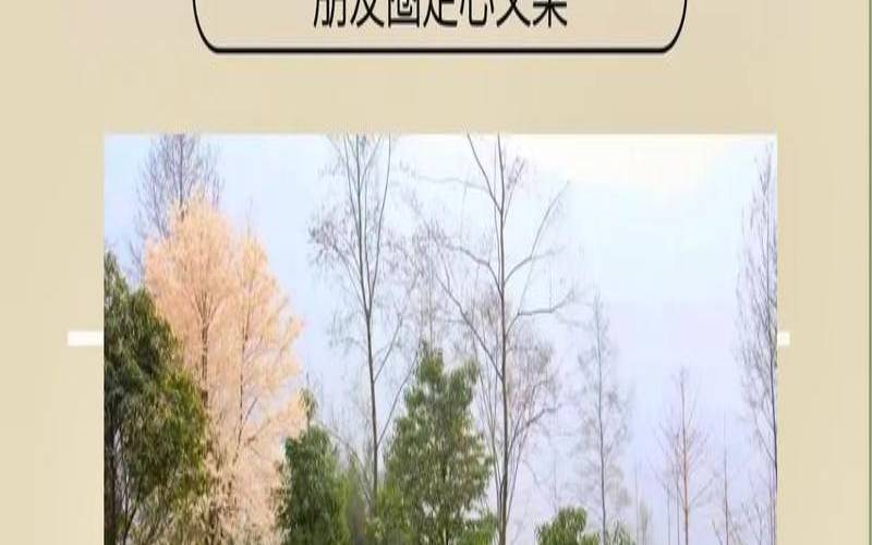 怎么形容茶山的好看,描写茶山景色的句子