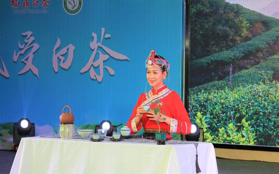 上海世博会福鼎白茶,上海世博白茶仙子 上海世博会福鼎白茶,上海世博白茶仙子