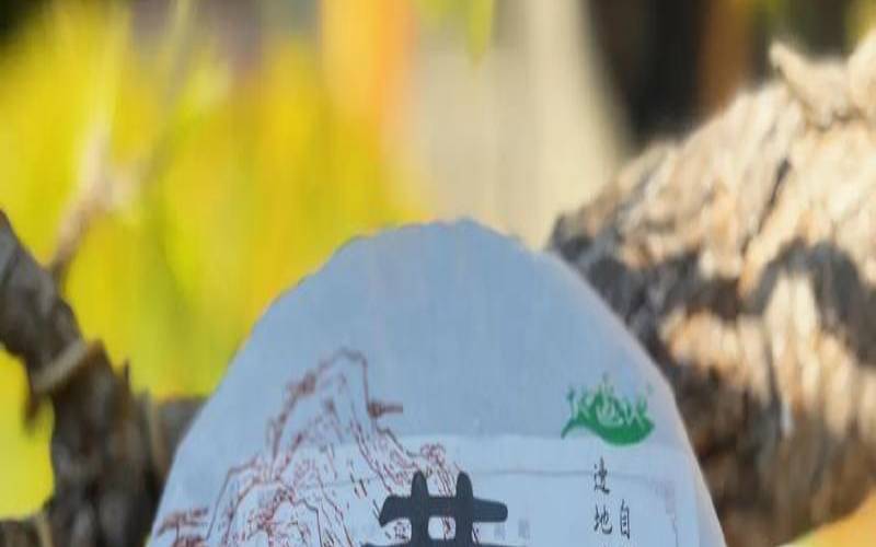 昔归古树茶产地在哪里,蛮砖古树茶特点