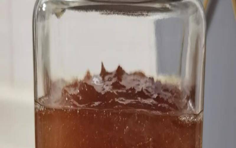 自制蜂蜜柠檬茶可以保存多久,自制的蜂蜜柠檬茶能放多久 自制蜂蜜柠檬茶可以保存多久,自制的蜂蜜柠檬茶能放多久