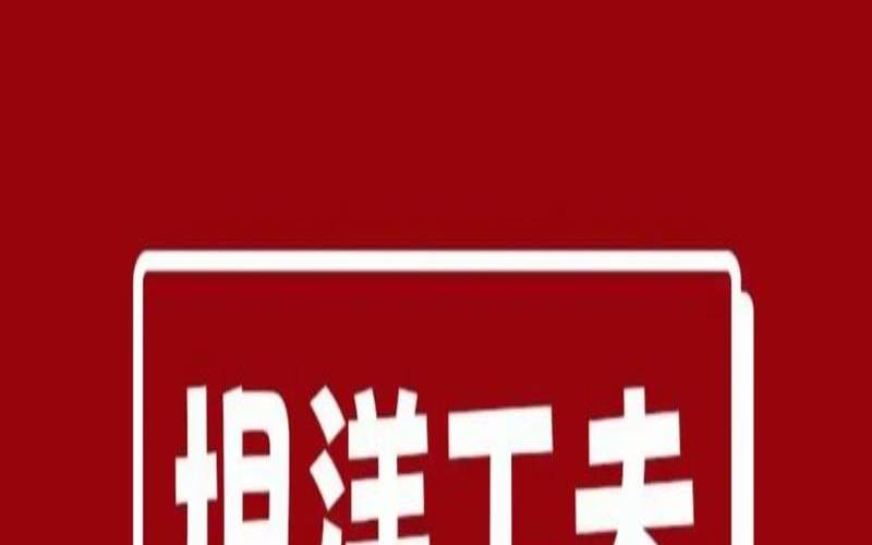 坦洋工夫什么工艺,坦洋工夫茶的介绍