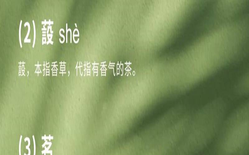 苦茶这首歌的歌词是谁写的,有点苦的茶是什么茶