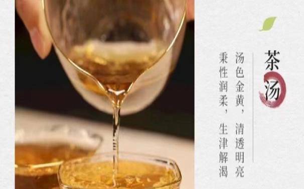 晚上喝普洱茶能睡着吗,普洱茶第二天还能泡吗