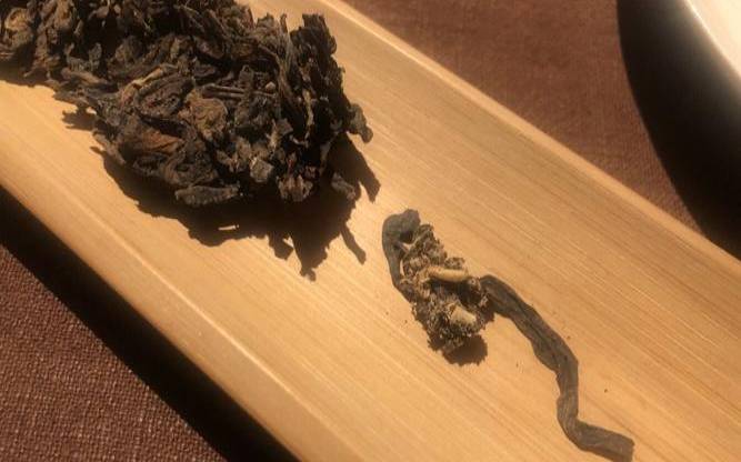 普洱茶里有小白点虫子,普洱茶生虫子了怎么办 普洱茶里有小白点虫子,普洱茶生虫子了怎么办