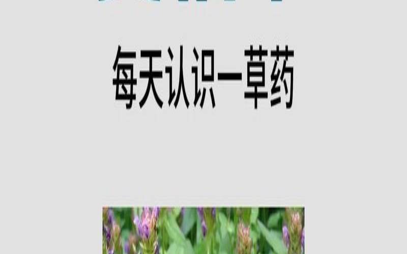 夏枯草加荷叶有什么功效,夏枯草决明子山楂泡水 夏枯草加荷叶有什么功效,夏枯草决明子山楂泡水