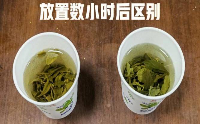 颜色很重的绿茶，绿茶有颜色好还是没颜色好