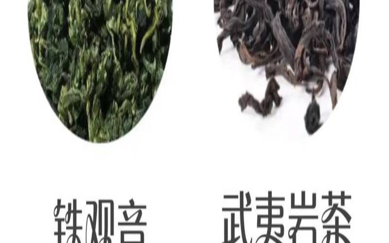 铁观音茶真假怎样鉴别,如何区别铁观音的真假