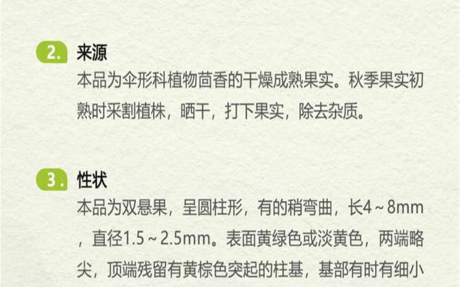茴香有什么疗效,茴香功效与主治