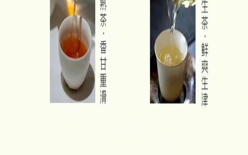 普洱茶地区的区别味道 普洱茶地区的区别味道