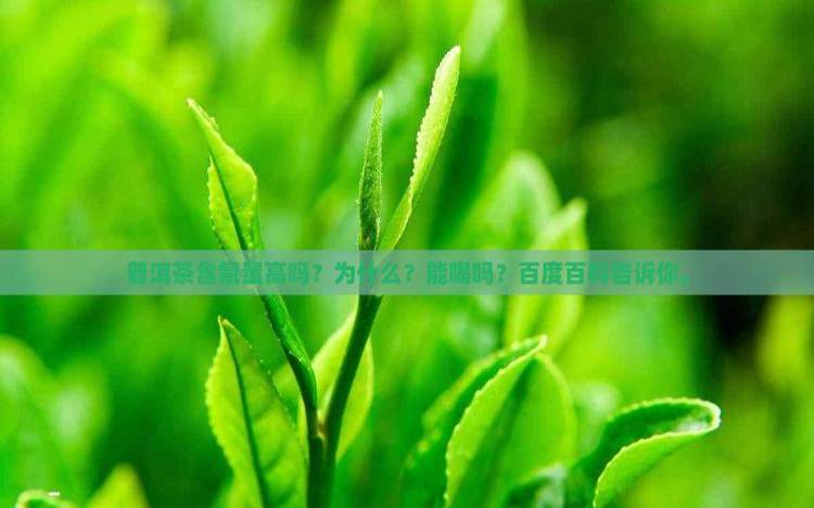 普洱茶含氟，普洱茶含氟么
