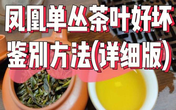 真假茶叶鉴别方法,茶叶质检员工作内容 真假茶叶鉴别方法,茶叶质检员工作内容