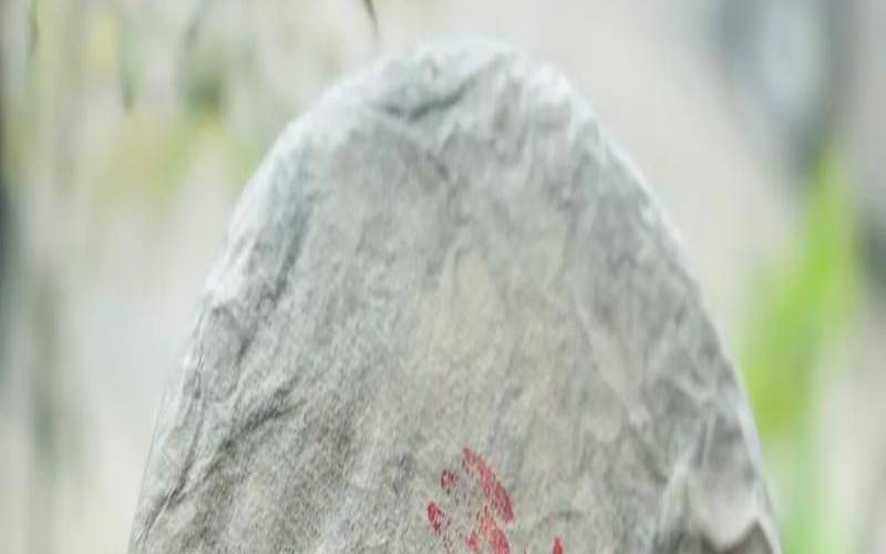 易武弯弓寨茶特点,刮风寨和易武有什么区别