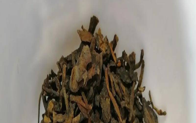 普洱茶的金花是什么,普洱生茶有金花可以饮用吗 普洱茶的金花是什么,普洱生茶有金花可以饮用吗