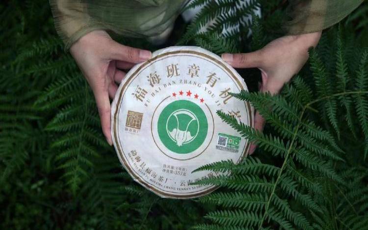 什么是有机茶叶,什么叫有机茶 什么是有机茶叶,什么叫有机茶