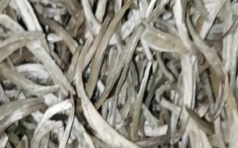云南白茶是什么品种,云南产茶地区有哪些 云南白茶是什么品种,云南产茶地区有哪些