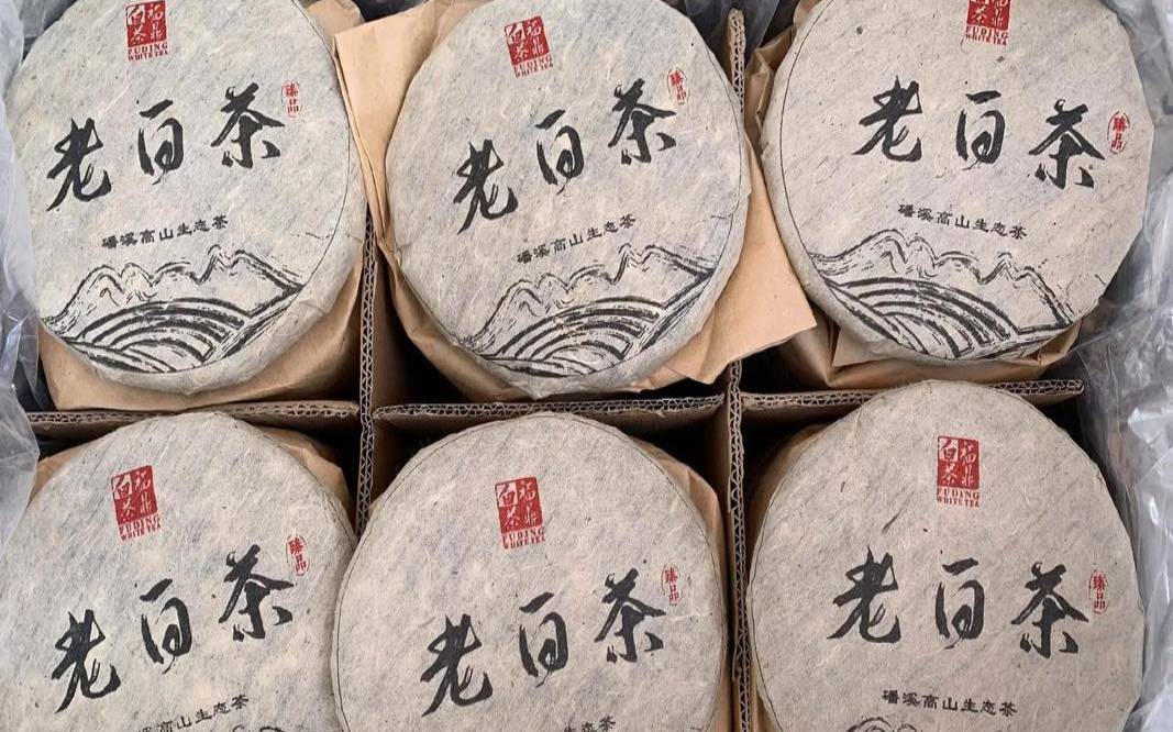 20年老白茶值多少钱,正常福鼎白茶一斤多少钱