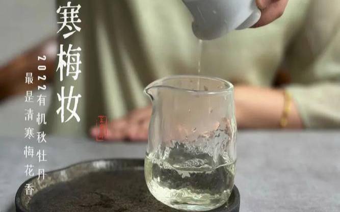 茶叶茶里能放糖吗,茶加糖可以一起喝吗 茶叶茶里能放糖吗,茶加糖可以一起喝吗