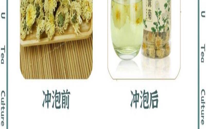 菊花茶功能主治，菊花茶的主治功能