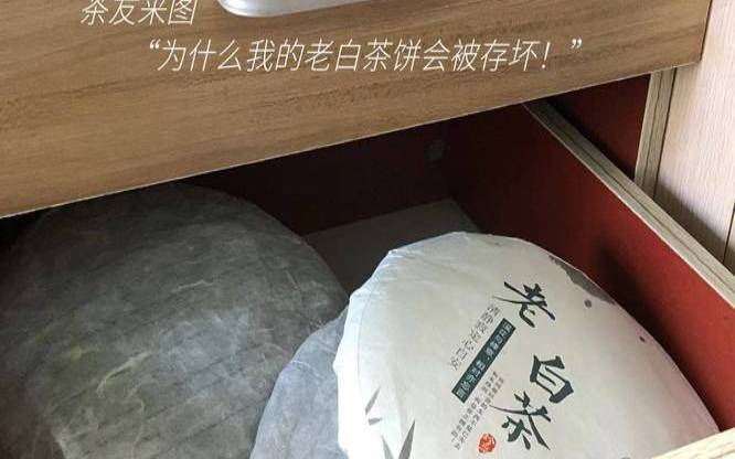 白茶饼的保存方法有哪些,白茶饼存放方法 白茶饼的保存方法有哪些,白茶饼存放方法