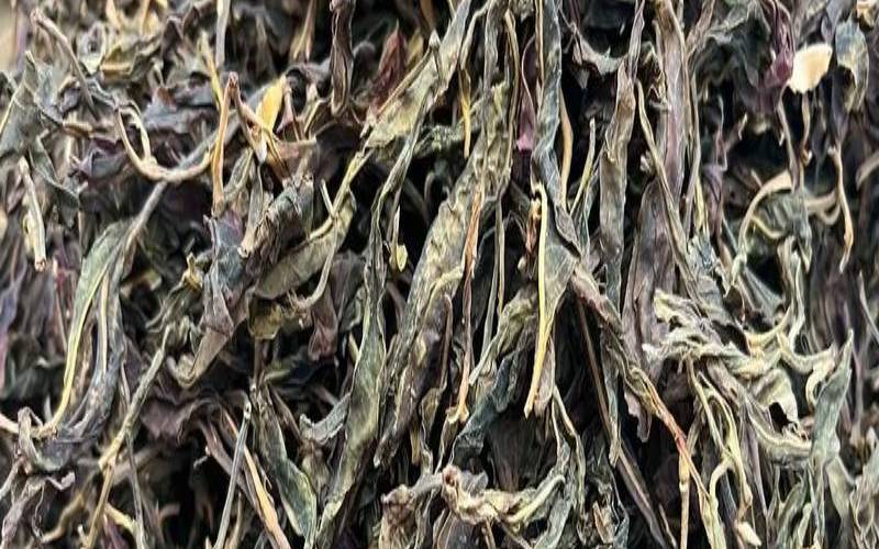 秘境是哪里产的普洱茶,勐海普洱茶特点口感 秘境是哪里产的普洱茶,勐海普洱茶特点口感