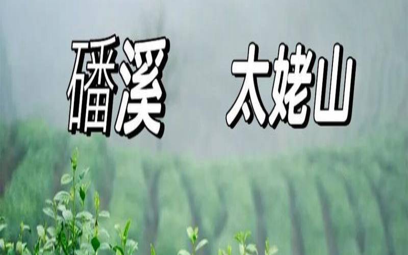 请问我们中国白茶哪里最好,白茶产地有哪些地方