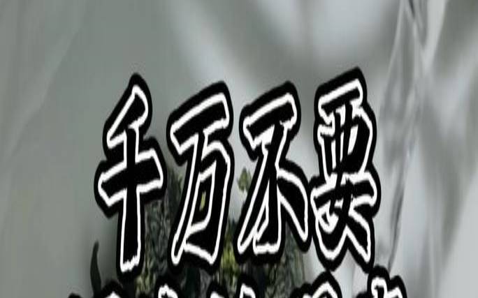 铁观音走水过程，铁观音注水方法