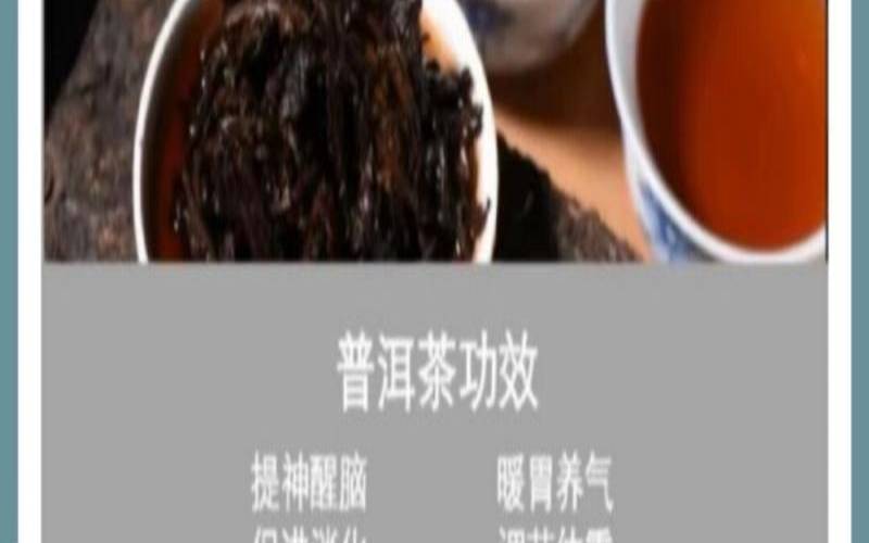 什么人喝普洱茶最好,什么人适合喝普洱茶 什么人喝普洱茶最好,什么人适合喝普洱茶