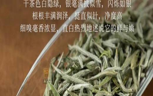望府银毫是什么茶,宁波什么茶叶